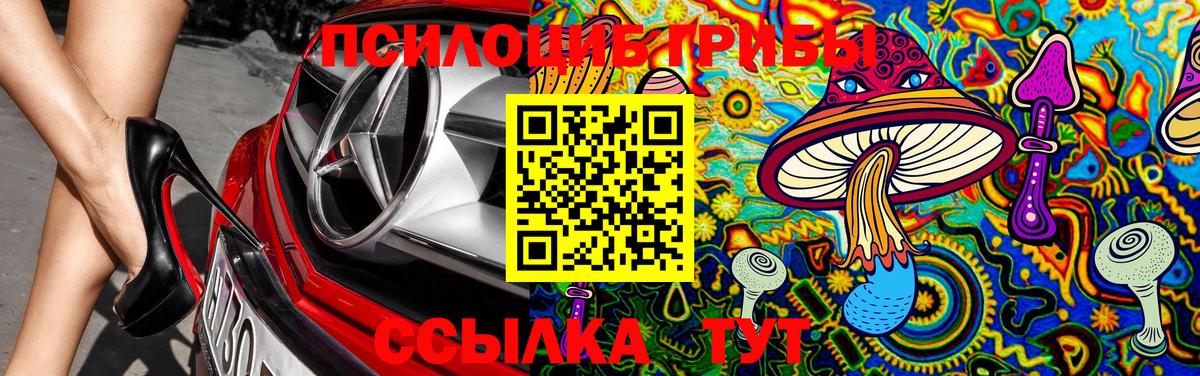 купить наркотики цена  Галлюциногенные грибы Psilocybine cubensis  Вход с VPN  Ртищево 